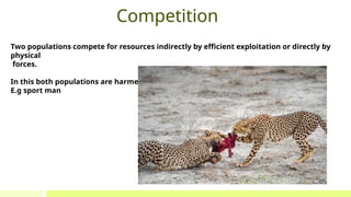 Comprehensive Overview of Ecosystem Interactions and Conservation | PPTX