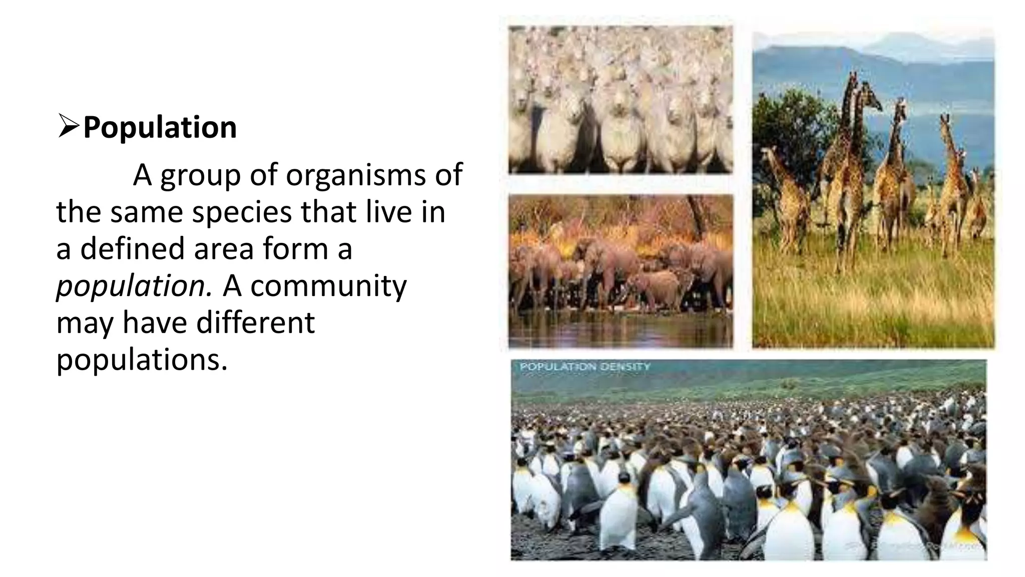 Population
A group of organisms of
the same species that live in
a defined area form a
population. A community
may have different
populations.
 