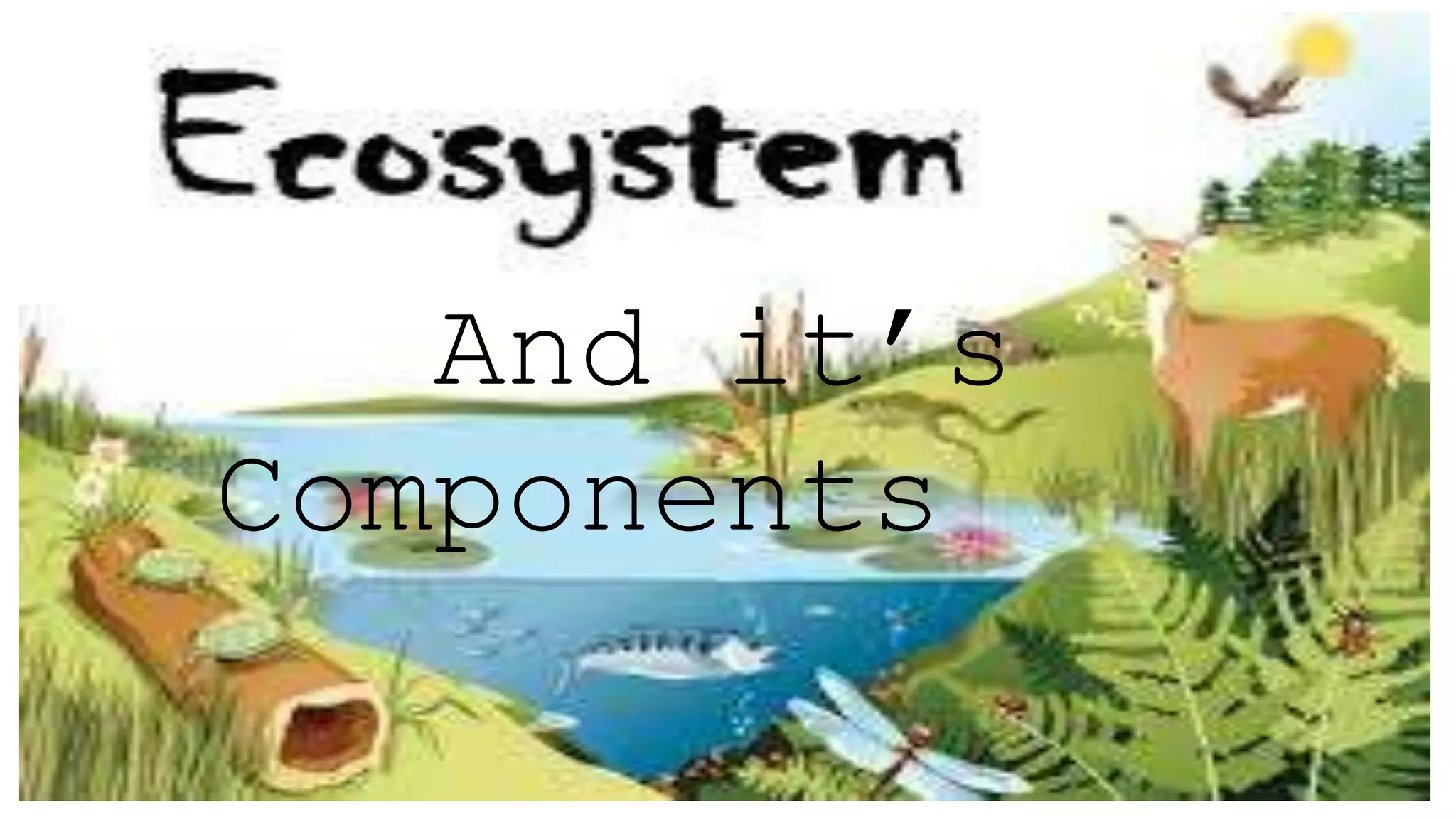 And it’s
Components
 