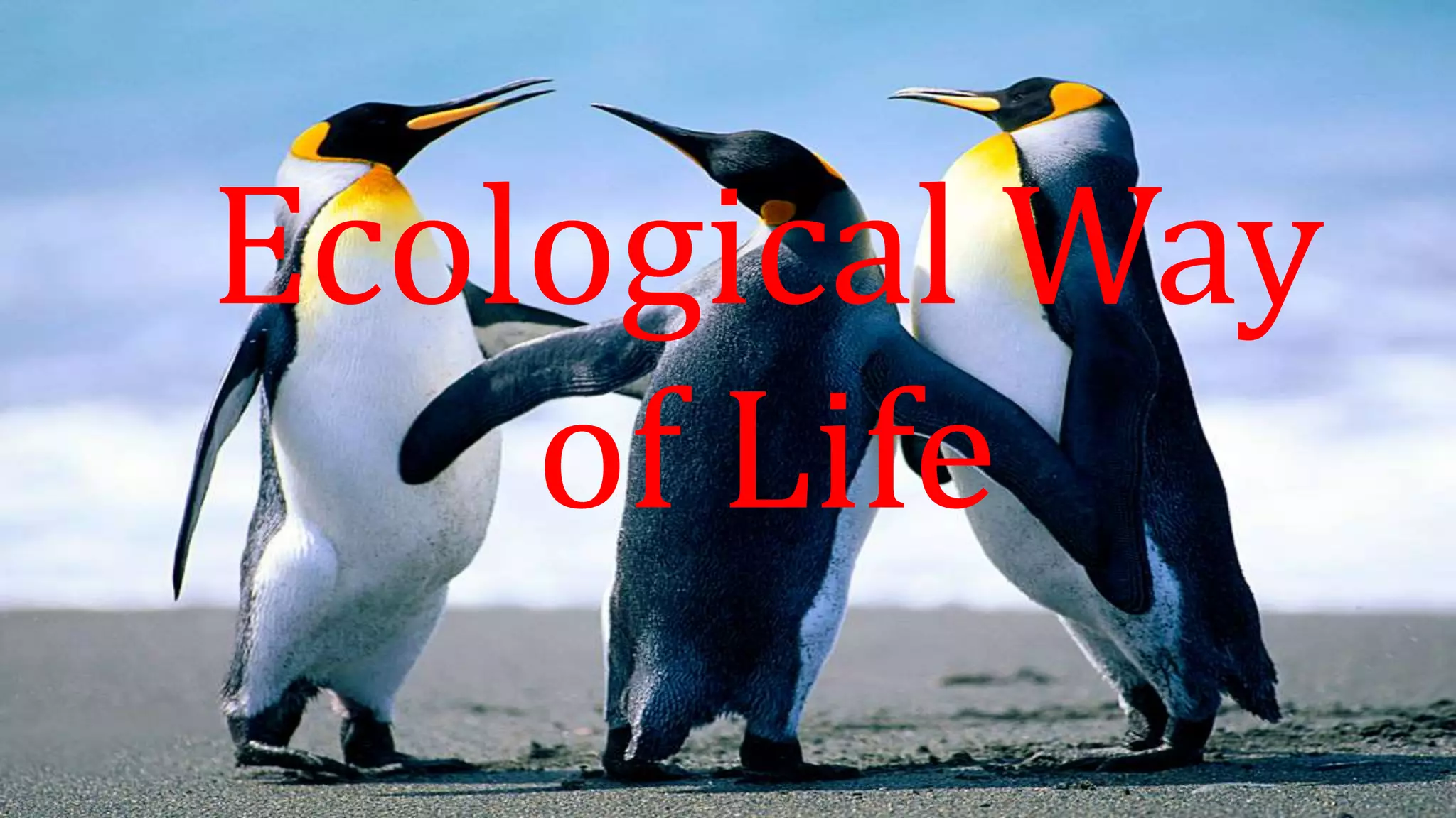 Ecological Way
of Life
 