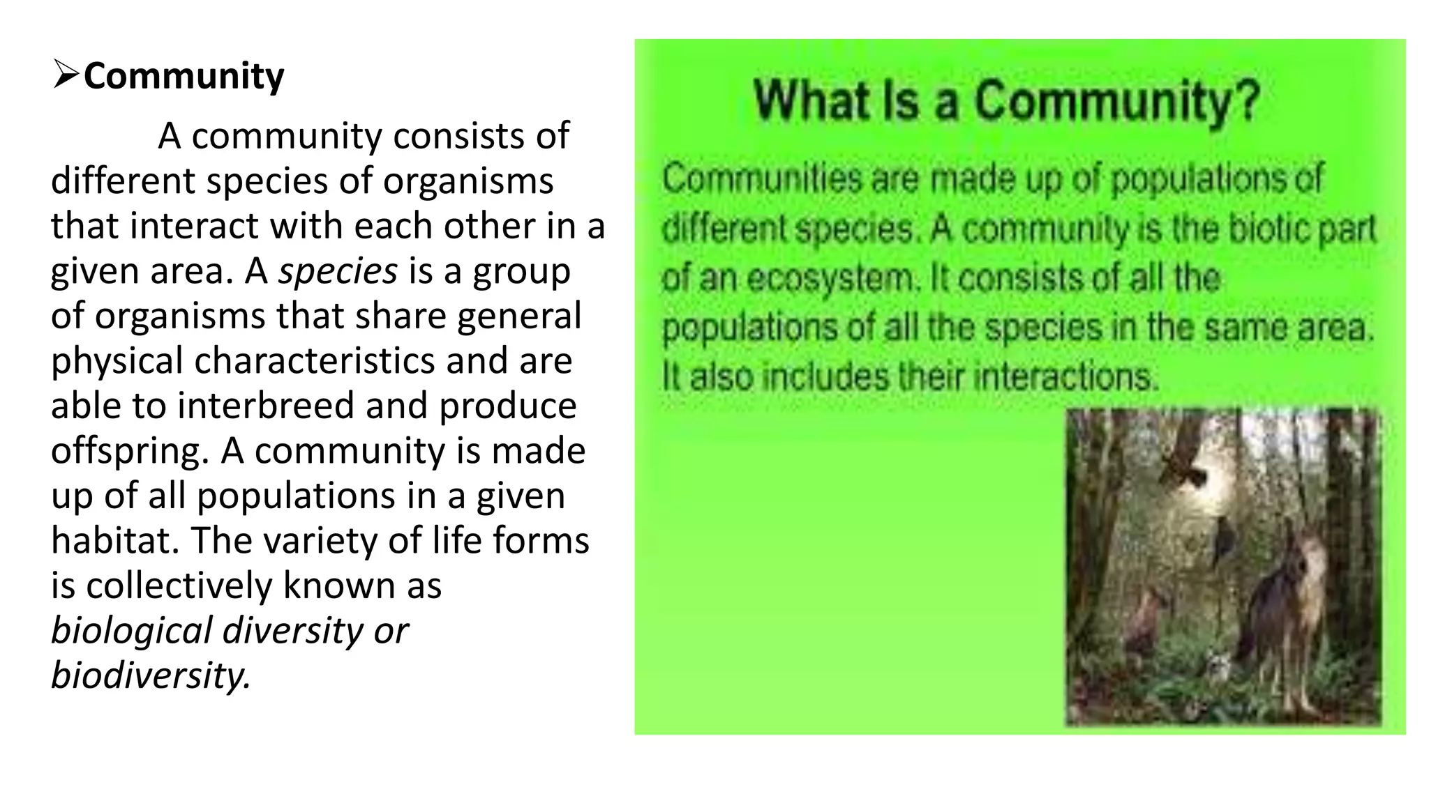 Community
A community consists of
different species of organisms
that interact with each other in a
given area. A species is a group
of organisms that share general
physical characteristics and are
able to interbreed and produce
offspring. A community is made
up of all populations in a given
habitat. The variety of life forms
is collectively known as
biological diversity or
biodiversity.
 