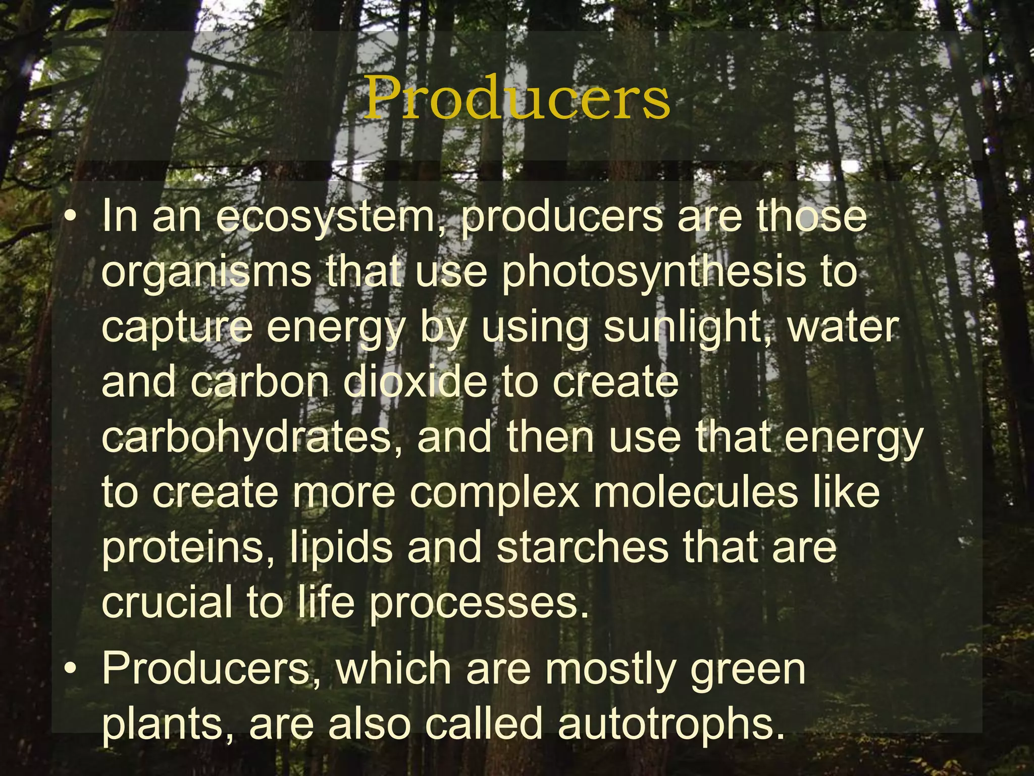 Producers
• In an ecosystem, producers are those
  organisms that use photosynthesis to
  capture energy by using sunlight, water
  and carbon dioxide to create
  carbohydrates, and then use that energy
  to create more complex molecules like
  proteins, lipids and starches that are
  crucial to life processes.
• Producers, which are mostly green
  plants, are also called autotrophs.
 