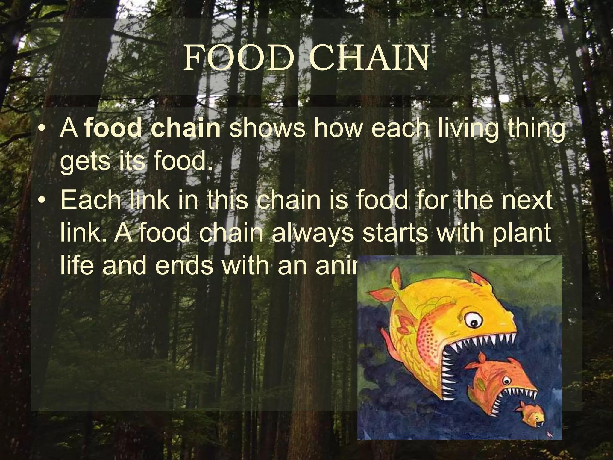 FOOD CHAIN
• A food chain shows how each living thing
  gets its food.
• Each link in this chain is food for the next
  link. A food chain always starts with plant
  life and ends with an animal.
 
