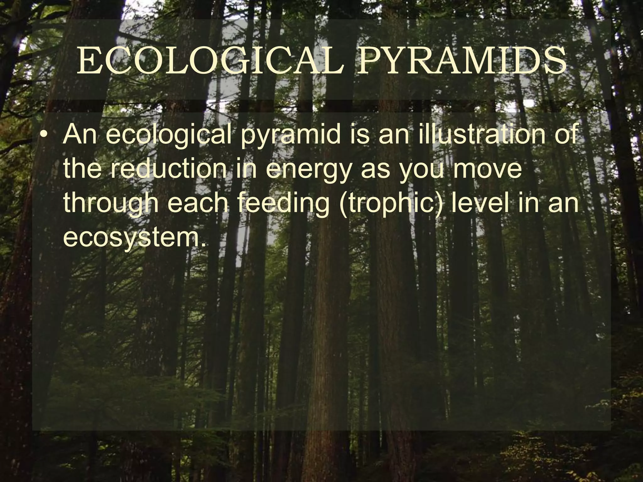 ECOLOGICAL PYRAMIDS
• An ecological pyramid is an illustration of
  the reduction in energy as you move
  through each feeding (trophic) level in an
  ecosystem.
 