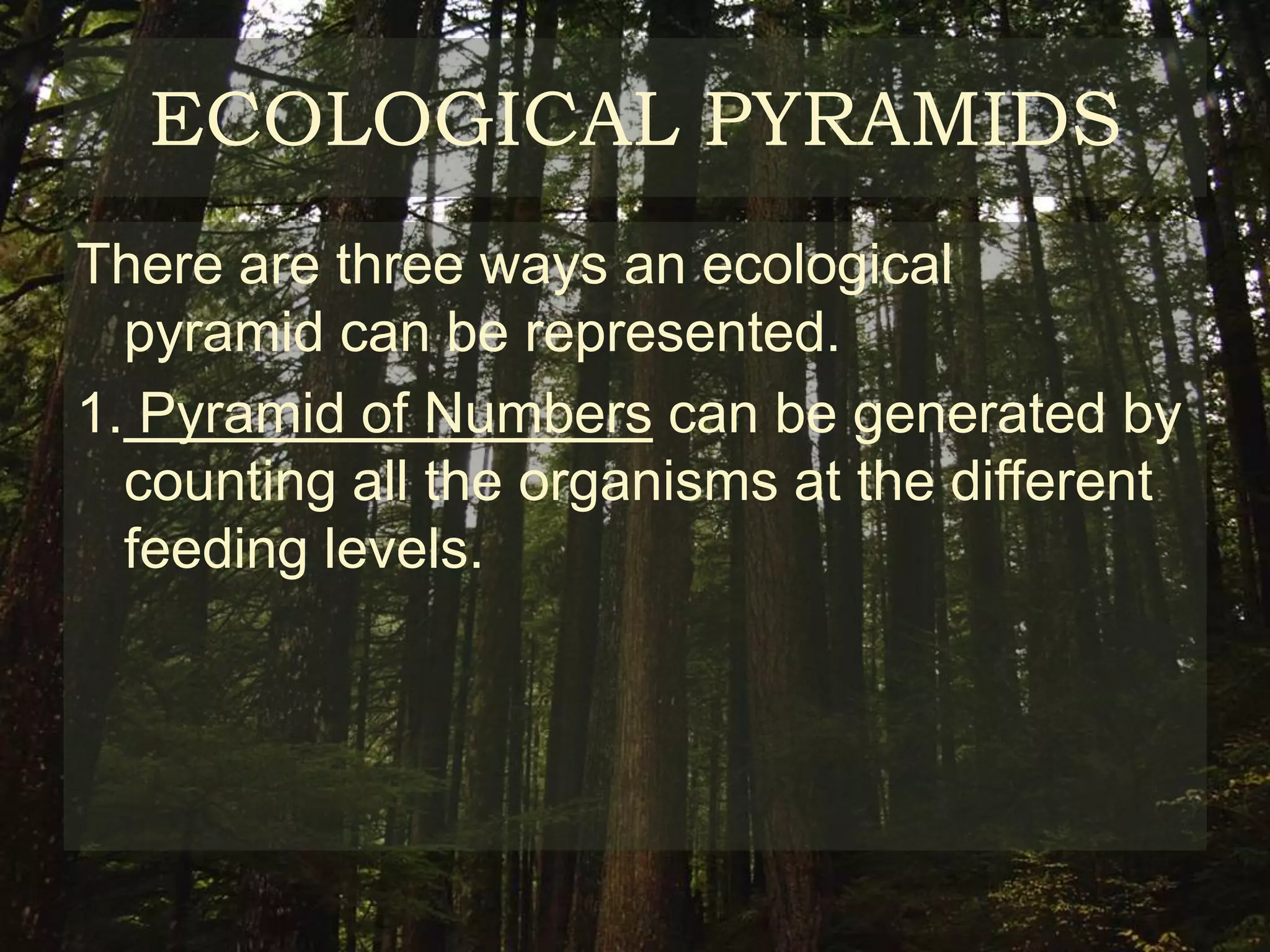 ECOLOGICAL PYRAMIDS
There are three ways an ecological
  pyramid can be represented.
1. Pyramid of Numbers can be generated by
  counting all the organisms at the different
  feeding levels.
 