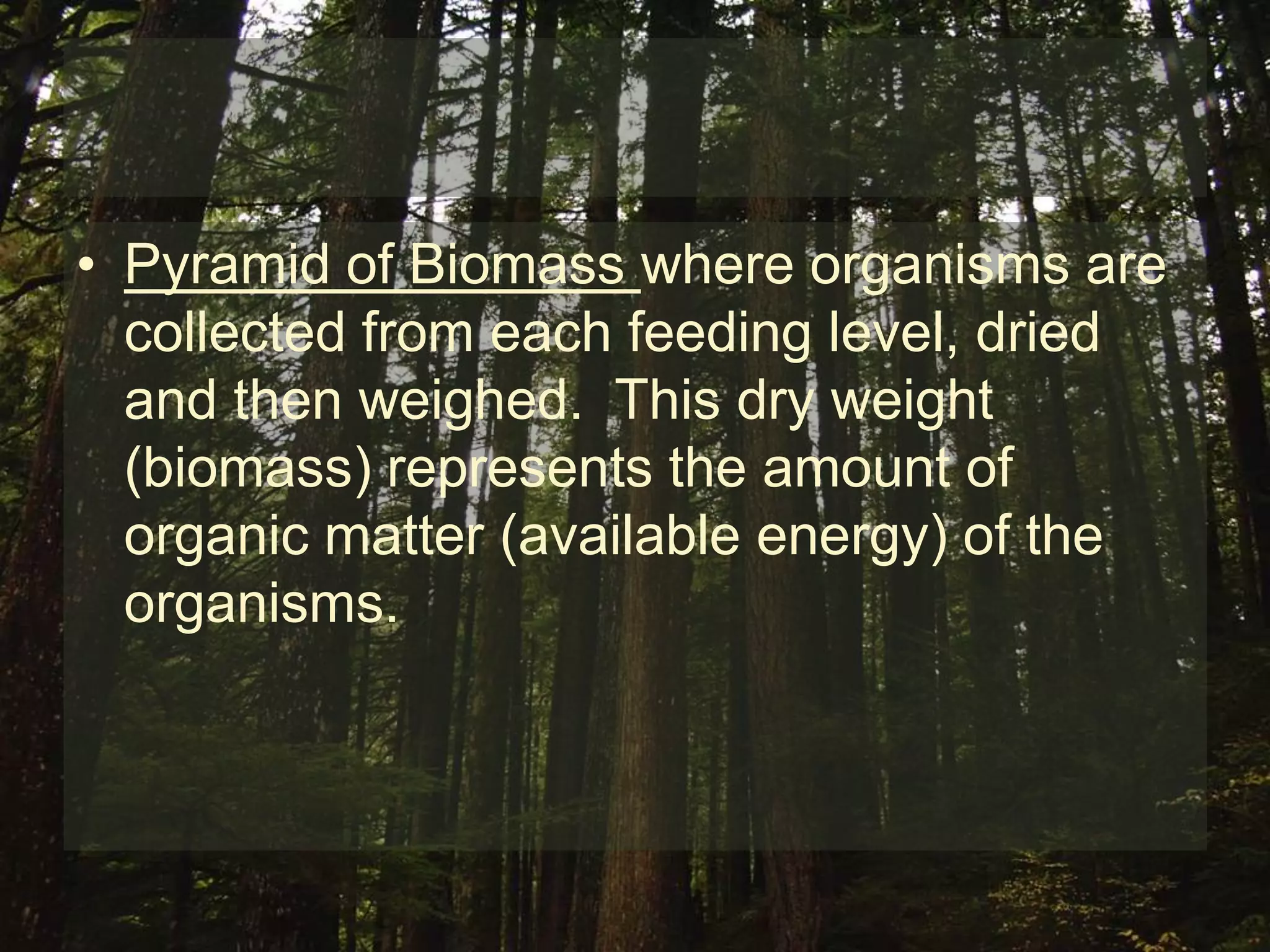 • Pyramid of Biomass where organisms are
  collected from each feeding level, dried
  and then weighed. This dry weight
  (biomass) represents the amount of
  organic matter (available energy) of the
  organisms.
 