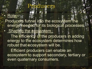 Ecosystem and its features final | PPTX