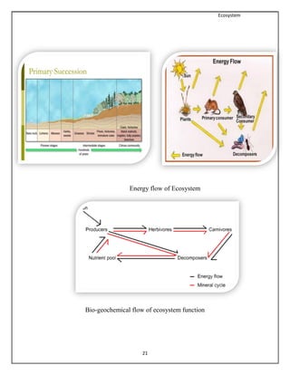 Ecosystem
21
Bio-geochemical flow of ecosystem function
Energy flow of Ecosystem
 