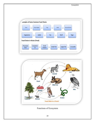 Ecosystem
22
Functions of Ecosystem
 