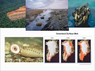 Ecosystem and Population Dynamics