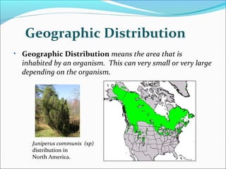 Geographic Distribution
• Geographic Distribution means the area that is
  inhabited by an organism. This can very small or very large
  depending on the organism.




     Juniperus communis (sp)
     distribution in
     North America.
 