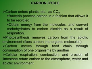 CARBON CYCLE
Carbon enters plants, etc., as CO2
Bacteria process carbon in a fashion that allows it
to be recycled.
Obtain energy from the molecules, and convert
carbohydrates to carbon dioxide as a result of
respiration.
Photosynthesis removes carbon from the abiotic
environment (fixes carbon into organic molecules)
Carbon moves through food chain through
consumption of one organisms by another
Cellular respiration, combustion, and erosion of
limestone return carbon to the atmosphere, water and
abiotic environment.
 