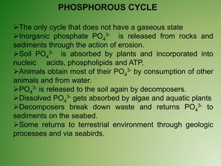 PHOSPHOROUS CYCLE
The only cycle that does not have a gaseous state
Inorganic phosphate PO4
3- is released from rocks and
sediments through the action of erosion.
Soil PO4
3- is absorbed by plants and incorporated into
nucleic acids, phospholipids and ATP.
Animals obtain most of their PO4
3- by consumption of other
animals and from water.
PO4
3- is released to the soil again by decomposers.
Dissolved PO4
3- gets absorbed by algae and aquatic plants
Decomposers break down waste and returns PO4
3- to
sediments on the seabed.
Some returns to terrestrial environment through geologic
processes and via seabirds.
 