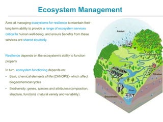 Ecosystem approach and iwrm by s. diop | PPTX