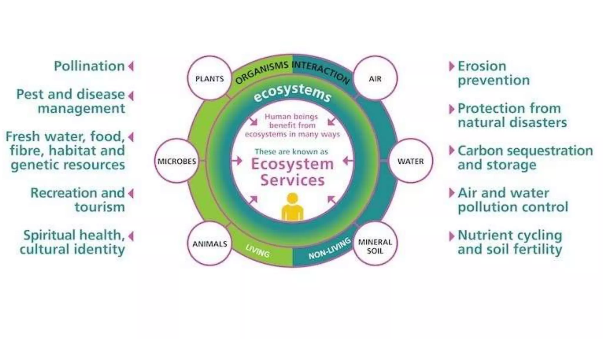 Disaster Management Ecosystem Ecosystem Based Disaster Risk Reduction | PPTX