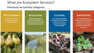 What are Ecosystem Services?
Previously we had four categories:
 