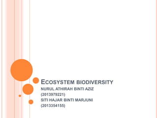 ECOSYSTEM BIODIVERSITY
NURUL ATHIRAH BINTI AZIZ
(2013979221)
SITI HAJAR BINTI MARJUNI
(2013354155)
 