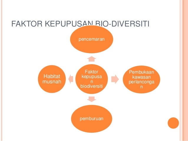 Ecosystem biodiversity