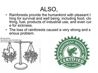 ALSO,Rainforests provide the humankind with pleasant thing for survival and well being, including food, clothing, fuel, products of industrial use, and even cure for sickness.The loss of rainforests caused a very strong and serious problem.