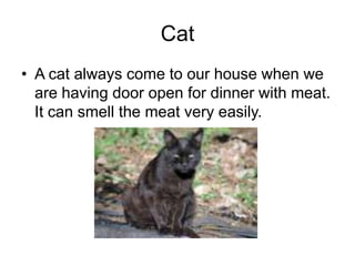 CatA cat always come to our house when we are having door open for dinner with meat. It can smell the meat very easily.