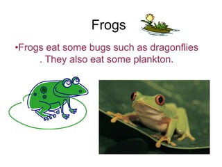 Frogs