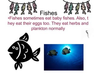 Chicken turtlePopulationsRavenCinteal duckWood duckWood peckersRaccoonBirdMosquitoWormplanktonCrayfish