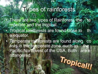 Types of rainforestsThere are two types of Rainforest, the    temperate and the tropical. Tropical rainforests are found close to    the equator.   Temperate rainforests are found along   coasts in the temperate zone, such as    the Pacific Northwest of the USA. Both   are endangered.   Tropical!!