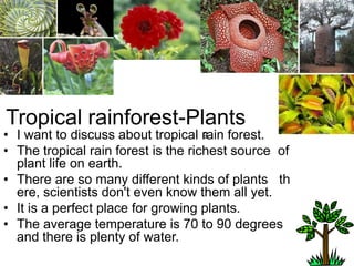 gTropical rainforest-PlantsI want to discuss about tropical rain forest.The tropical rain forest is the richest source  of plant life on earth.There are so many different kinds of plants   there, scientists don't even know them all yet.It is a perfect place for growing plants. The average temperature is 70 to 90 degrees  and there is plenty of water. 