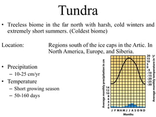 Tundra
• Treeless biome in the far north with harsh, cold winters and
extremely short summers. (Coldest biome)
Location: Regions south of the ice caps in the Artic. In
North America, Europe, and Siberia.
• Precipitation
– 10-25 cm/yr
• Temperature
– Short growing season
– 50-160 days
 