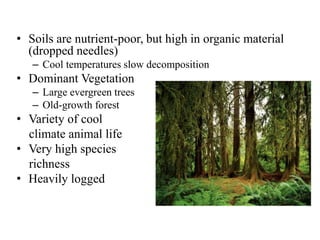 • Soils are nutrient-poor, but high in organic material
(dropped needles)
– Cool temperatures slow decomposition
• Dominant Vegetation
– Large evergreen trees
– Old-growth forest
• Variety of cool
climate animal life
• Very high species
richness
• Heavily logged
 