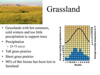 Grassland
• Grasslands with hot summers,
cold winters and too little
precipitation to support trees
• Precipitation
– 25-75 cm/yr
• Tall grass prairies
• Short grass prairies
• 90% of this biome has been lost to
farmland
 