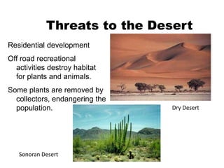 Threats to the Desert
Residential development
Off road recreational
activities destroy habitat
for plants and animals.
Some plants are removed by
collectors, endangering the
population.
Sonoran Desert
Dry Desert
 