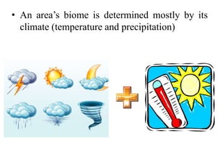• An area’s biome is determined mostly by its
climate (temperature and precipitation)
 