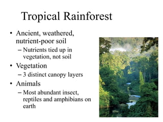 Tropical Rainforest
• Ancient, weathered,
nutrient-poor soil
– Nutrients tied up in
vegetation, not soil
• Vegetation
– 3 distinct canopy layers
• Animals
– Most abundant insect,
reptiles and amphibians on
earth
 