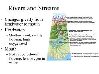 Rivers and Streams
• Changes greatly from
headwater to mouth
• Headwaters
– Shallow, cool, swiftly
flowing, high
oxygenated
• Mouth
– Not as cool, slower
flowing, less oxygen in
water
 