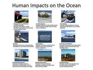 Human Impacts on the Ocean
 