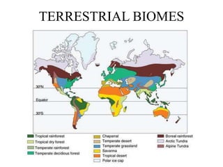 TERRESTRIAL BIOMES
 