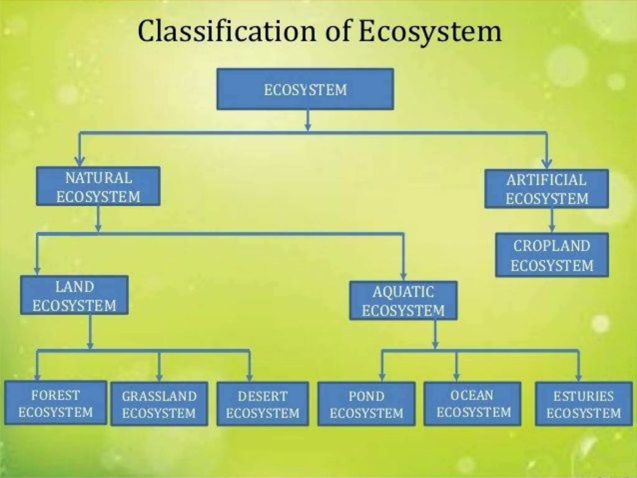 ECOSYSTEM Classification Structure & Functioning (1).pdf