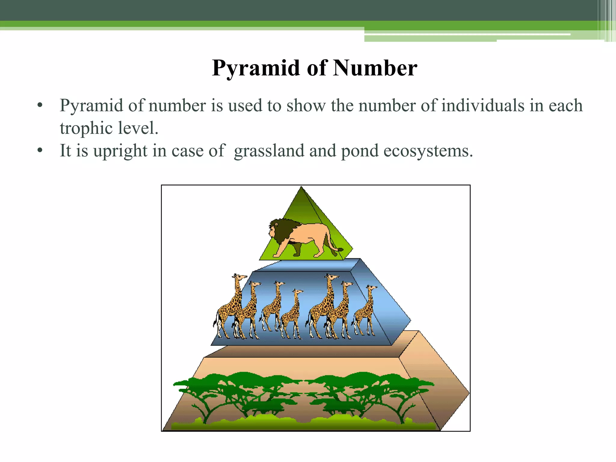 Ecosystem concept and types | PDF