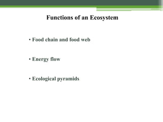 • Food chain and food web
• Energy flow
• Ecological pyramids
Functions of an Ecosystem
 