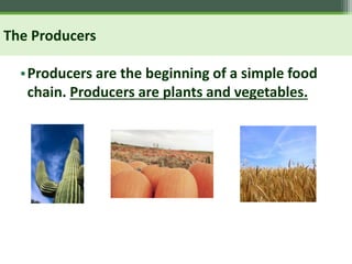 The Producers
•Producers are the beginning of a simple food
chain. Producers are plants and vegetables.
 