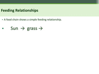 Feeding Relationships
• A food chain shows a simple feeding relationship.
• Sun → grass →
 