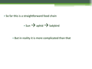 • So far this is a straightforward food chain
• Sun →aphid →ladybird
• But in reality it is more complicated than that
 