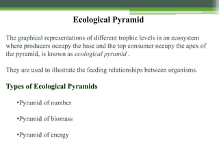 Ecological Pyramid
The graphical representations of different trophic levels in an ecosystem
where producers occupy the base and the top consumer occupy the apex of
the pyramid, is known as ecological pyramid .
They are used to illustrate the feeding relationships between organisms.
Types of Ecological Pyramids
•Pyramid of number
•Pyramid of biomass
•Pyramid of energy
 