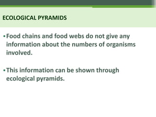 ECOLOGICAL PYRAMIDS
•Food chains and food webs do not give any
information about the numbers of organisms
involved.
•This information can be shown through
ecological pyramids.
 