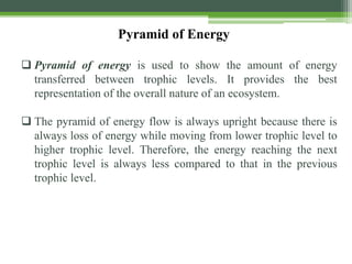 Pyramid of Energy
 Pyramid of energy is used to show the amount of energy
transferred between trophic levels. It provides the best
representation of the overall nature of an ecosystem.
 The pyramid of energy flow is always upright because there is
always loss of energy while moving from lower trophic level to
higher trophic level. Therefore, the energy reaching the next
trophic level is always less compared to that in the previous
trophic level.
 
