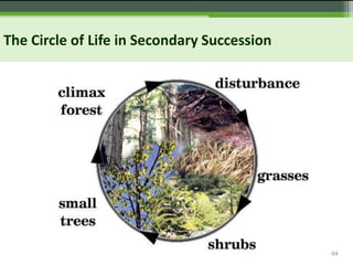 64
The Circle of Life in Secondary Succession
 