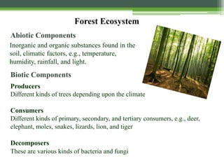 Forest Ecosystem
Inorganic and organic substances found in the
soil, climatic factors, e.g., temperature,
humidity, rainfall, and light.
Abiotic Components
Producers
Different kinds of trees depending upon the climate
Consumers
Different kinds of primary, secondary, and tertiary consumers, e.g., deer,
elephant, moles, snakes, lizards, lion, and tiger
Decomposers
These are various kinds of bacteria and fungi
Biotic Components
 