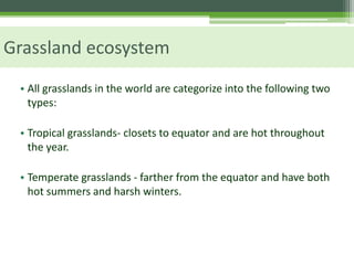 Grassland ecosystem
• All grasslands in the world are categorize into the following two
types:
• Tropical grasslands- closets to equator and are hot throughout
the year.
• Temperate grasslands - farther from the equator and have both
hot summers and harsh winters.
 