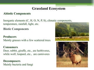 Grassland Ecosystem
Producers
Mainly grasses with a few scattered trees
Consumers
Deer, rabbit, giraffe, etc., are herbivores,
while wolf, leopard, etc., are carnivores
Decomposers
Mainly bacteria and fungi
Abiotic Components
Inorganic elements (C, H, O, N, P, S), climatic components,
temperature, rainfall, light, etc.
Biotic Components
 